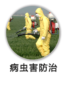 病虫害防治