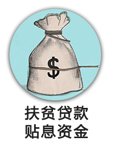 扶贫贷款贴息资金