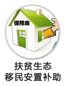 扶贫生态移民安置补助