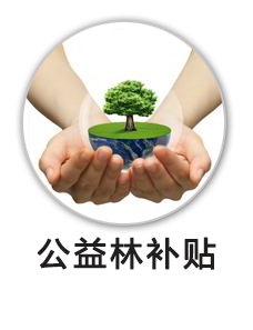 公益林补贴