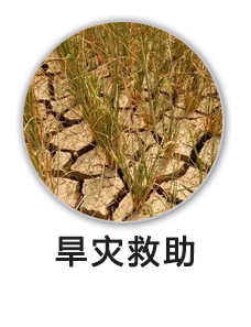 旱灾救助