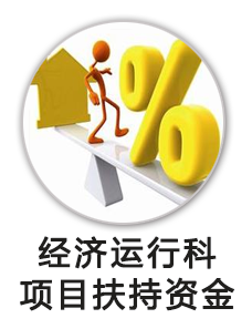 经济运行科资金项目扶持资金
