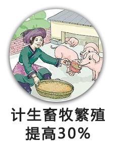 计生畜牧繁殖提高30%