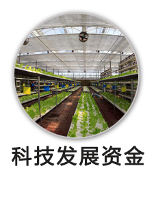 科技发展资金