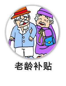 老龄补贴