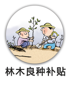 林木良种补贴