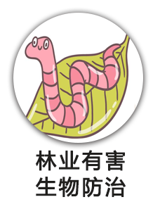 林业有害生物防治