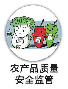 农产品质量安全监管
