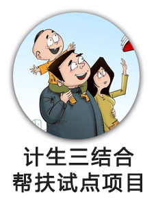 计生三结合帮扶试点项目
