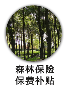 森林保险保费补贴