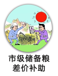 市级储备粮差价补助