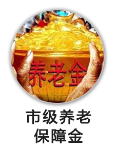 市级农村计划生育养老保障