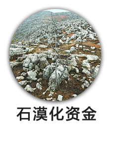 石漠化资金