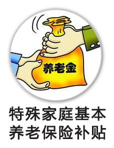 特殊家庭基本养老保险缴费补贴
