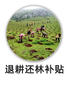 退耕还林