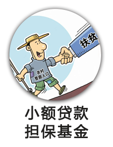 小额贷款担保基金