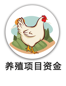 养殖项目资金