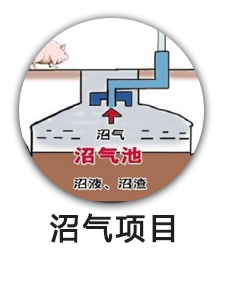 沼气项目
