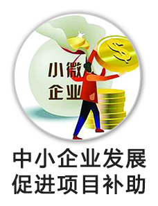 中小企业发展促进资金项目补助