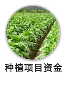 种植项目资金