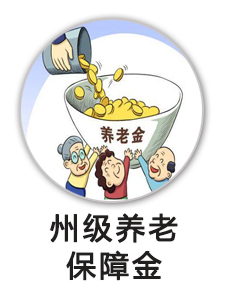 州级养老保障金