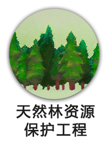天然林资源保护工程