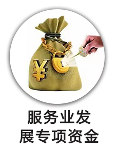 服务业发展专项资金