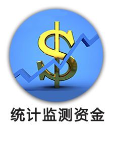 统计监测资金