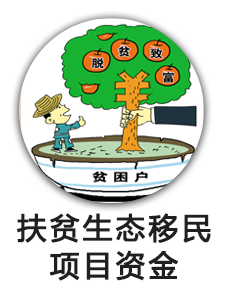 扶贫生态移民项目资金