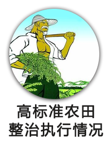 高标准基本农田整治资金执行情况