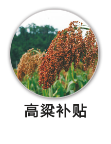 高粱补贴