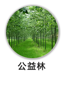 公益林
