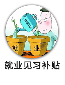 就业见习补贴