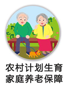 州级养老保障