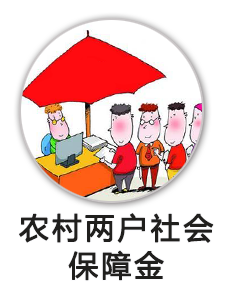 农村两户社会保障金