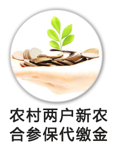 农村两户新农合参保财政代缴资金