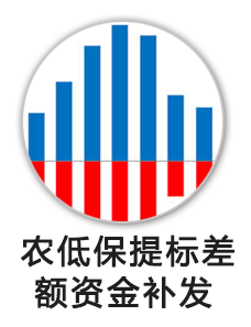 农低保提标差额资金补发