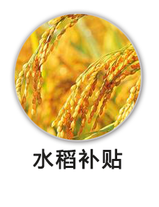 水稻补贴