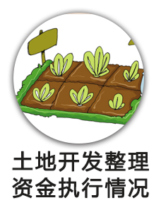土地开发整理资金执行情况
