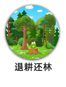 退耕还林