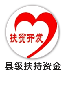 扶持资金