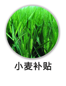 小麦补贴