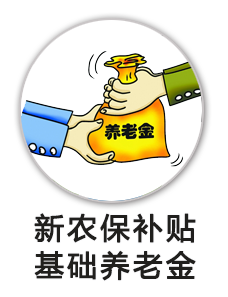 新农保补贴基础养老金