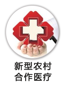 新型农村合作医疗
