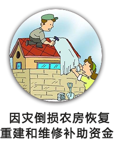 因灾倒损农房恢复重建和维修补助资金