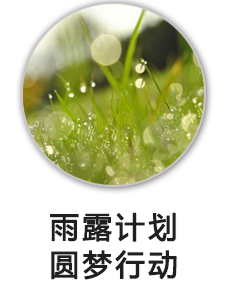 雨露计划