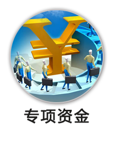 专项资金