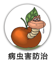 病虫害防治