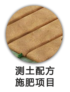 测土配方施肥项目