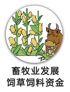 畜牧业发展饲草饲料资金